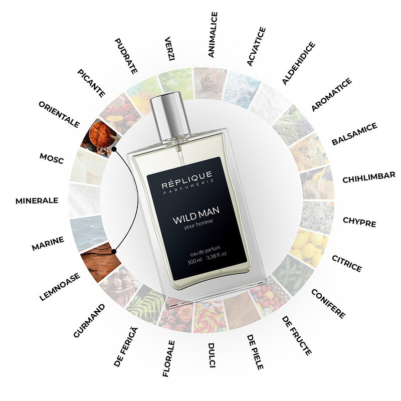 Familiile olfactive Sauvage Dior. Infografic sau Roata parfumurilor cu familie Orientale si Lemnoase pentru Dior Sauvage