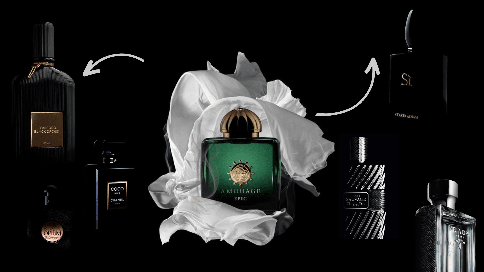 Segmentele de parfumerie: diversitatea aromelor și mărcilor de pe piață