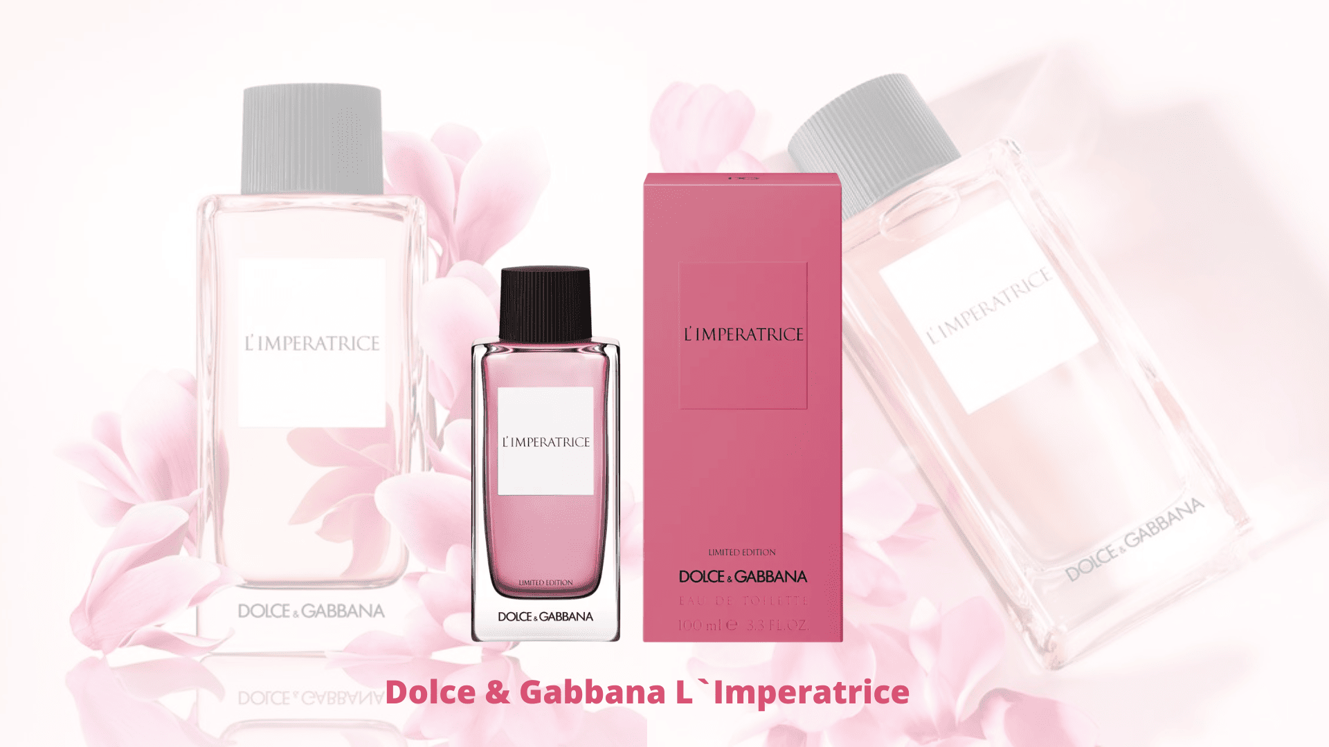 Dolce & Gabbana L`Imperatrice: Odată regină, întotdeauna regină