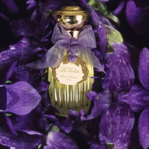 Produse similare: Guerlain Insolence - Acest parfum îmbină perfect notele de violete cu acorduri de fructe roșii și mosc, oferind o combinație seducătoare și enigmatică. Cu o prezență puternică și o persistență remarcabilă, Guerlain Insolence este o alternativă de lux pentru iubitorii de arome florale. Tom Ford Velvet Violet - Creația lui Tom Ford, Velvet Violet, este un parfum intens și sofisticat, care surprinde într-o armonie senzuală notele de violete cu acorduri de ambra și piele. Aroma sa profundă și bogată atrage atenția și îi conferă purtătorului o eleganță distinctivă. Jo Malone London Violet & Amber Absolu - Această creație a celebrului brand Jo Malone London îmbină notele de violete cu acorduri calde de ambra, oferind un parfum cu o senzație de confort și rafinament. Violet & Amber Absolu este un parfum unisex, potrivit pentru cei care apreciază aromele sofisticate și versatile. Chanel Jersey - Chanel Jersey este o altă opțiune de luat în considerare pentru iubitorii de parfumuri cu note de violete. Această creație emblematică a casei Chanel îmbină în mod armonios aromele de violete cu notele lemnoase și moscului, rezultând un parfum elegant și sofisticat. Serge Lutens Bois de Violette - Dacă ești în căutarea unei arome mai intense și misterioase, Serge Lutens Bois de Violette poate fi alegerea potrivită. Acest parfum se remarcă prin combinația de note de violete cu acorduri lemnoase și condimentate, creând o experiență olfactivă unică și seducătoare. Concluzie: Goutal La Violette este un parfum cu o prezență remarcabilă, care surprinde delicatetea și frumusețea florilor de violete. Prin combinația sa subtilă de arome și persistența sa remarcabilă, acest parfum reușește să ofere o experiență olfactivă deosebită. Cu toate că poate avea un preț mai ridicat, Goutal La Violette este o alegere perfectă pentru cei care caută o aromă elegantă, autentică și sofisticată.