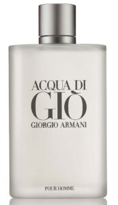 Parfum Acqua di Gio by Giorgio Armani