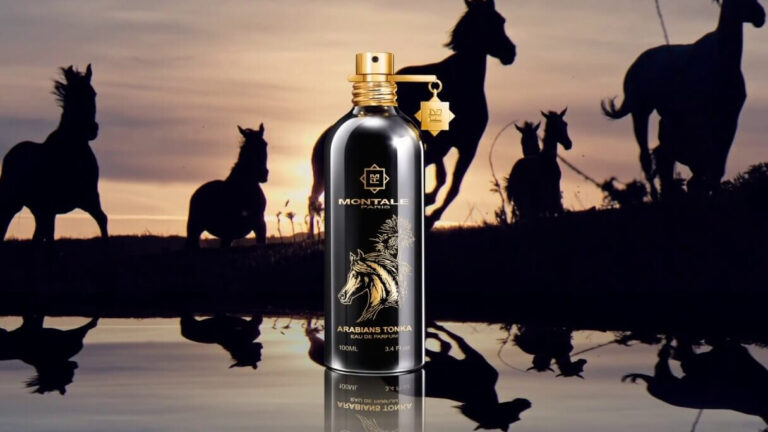 Cum Să Porți Montale Arabians Tonka în Diferite Sezoane - Replique ...